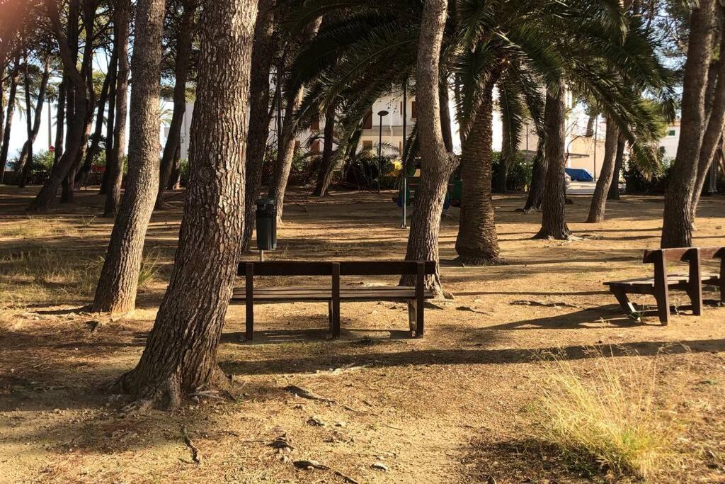 Piso Las Mimosas 90 Metros De Playa Port Pollensa Порт-де-Польєнса Екстер'єр фото